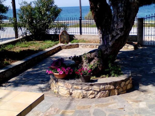 Villa Aegialis Skála Kallirákhis Esterno foto